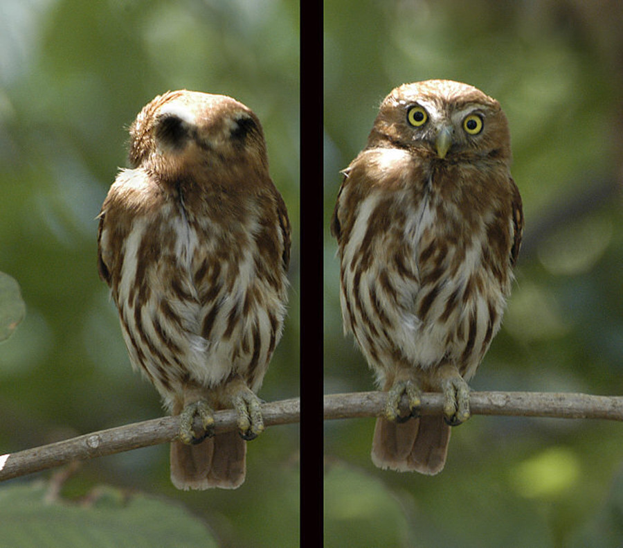 包含1?鳥?W榓w??W]跈匋?w蹖$珣岏y&的词条